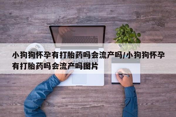 米非米索打胎药专卖微信小狗狗怀孕有打胎药吗会流产吗/小狗狗怀孕有打胎药吗会流产吗图片
