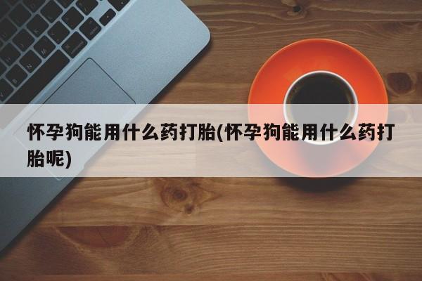 米非米索打胎药专卖微信怀孕狗能用什么药打胎(怀孕狗能用什么药打胎呢)