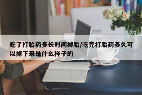 米非米索打胎药专卖微信吃了打胎药多长时间掉胎/吃完打胎药多久可以掉下来是什么样子的