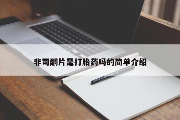 米非米索打胎药专卖微信非司酮片是打胎药吗的简单介绍